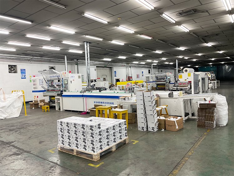 asia pulp and paper project