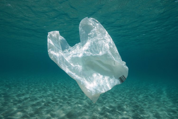 plastic-bag-pollutuon-750x500