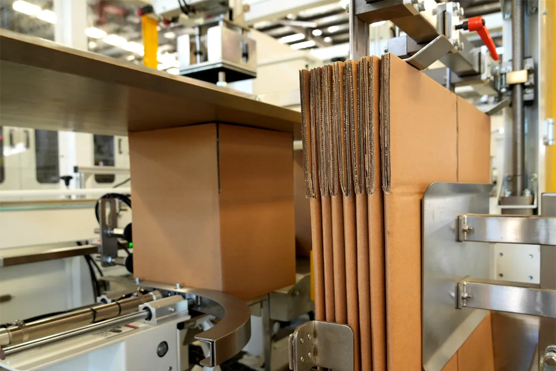 Automatic Robot Palletizing System