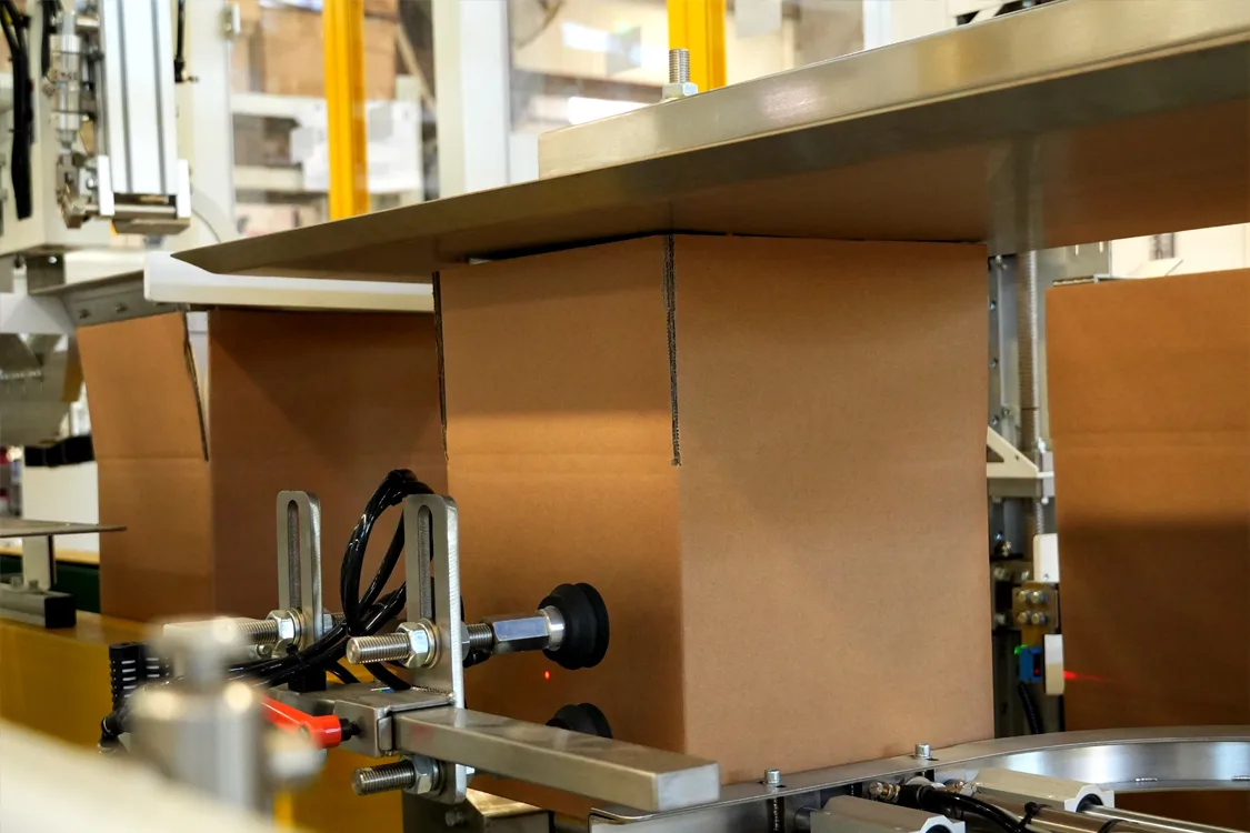 Automatic Robot Palletizing System